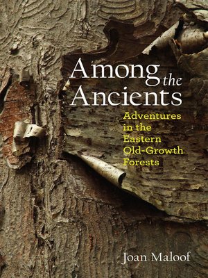 cover image of Among the Ancients